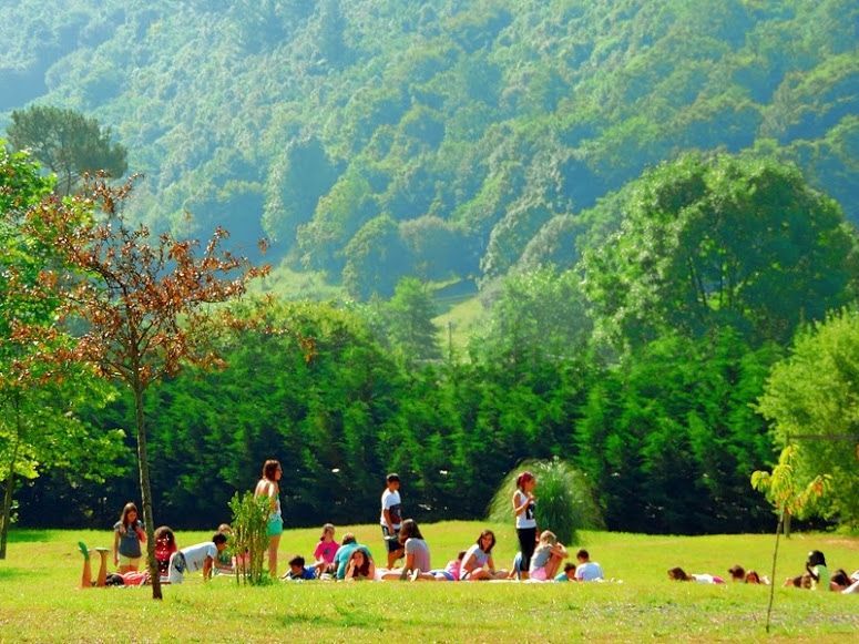 Excursión para conocer Cantabria Grupo de escolares en la finca de la casa