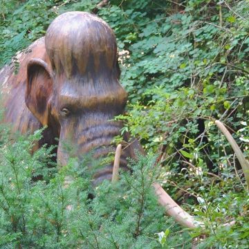 Cultura y naturaleza visitas educativas Aprende más sobre la extinción de Mamut