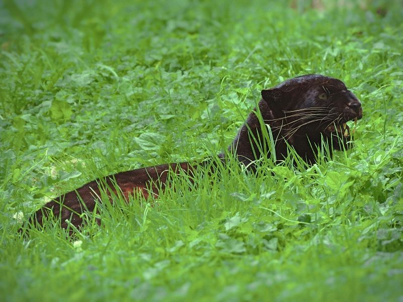aprende con la naturaleza Refugio de animales rescatados
