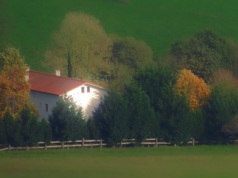 Alojamiento ubicado en un entorno rural Rodeado de naturaleza