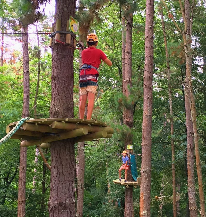 Maravillosos bosques de aventura
