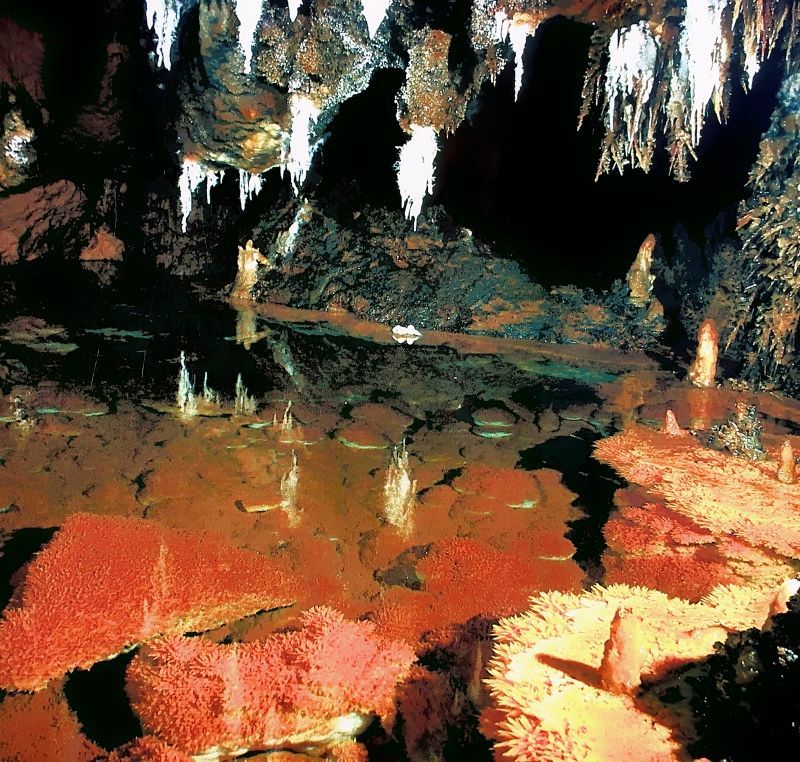 Cuevas durante la excursión