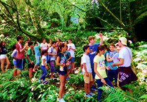 campamentos verano ingles agosto